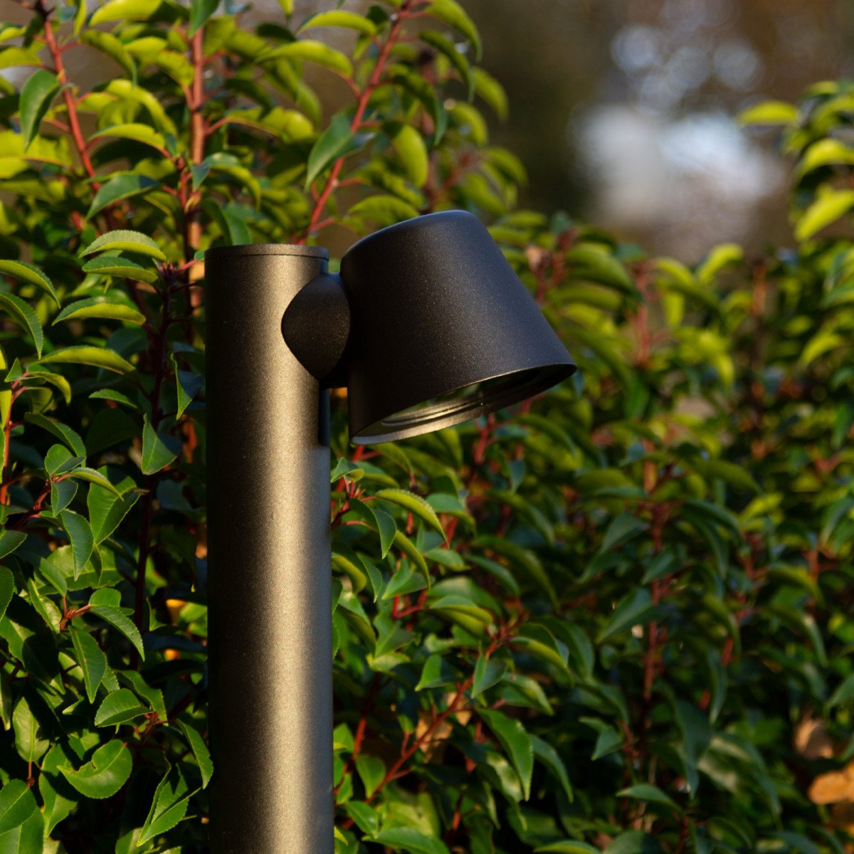 Lampadaire, lampe sur pied Vita Cup noir mat